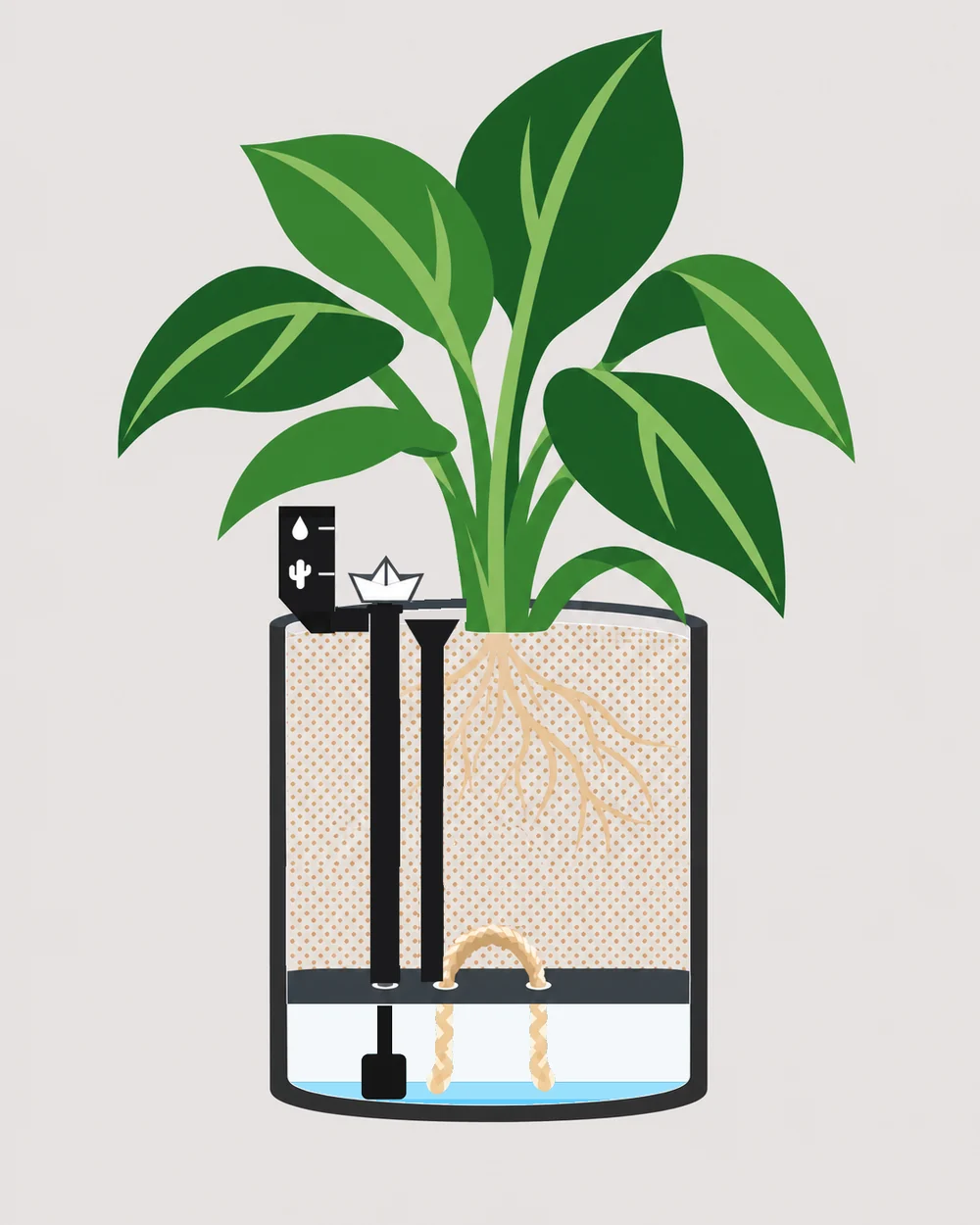 Depósito casi vacío: el barco bajó hasta la marca del cactus.